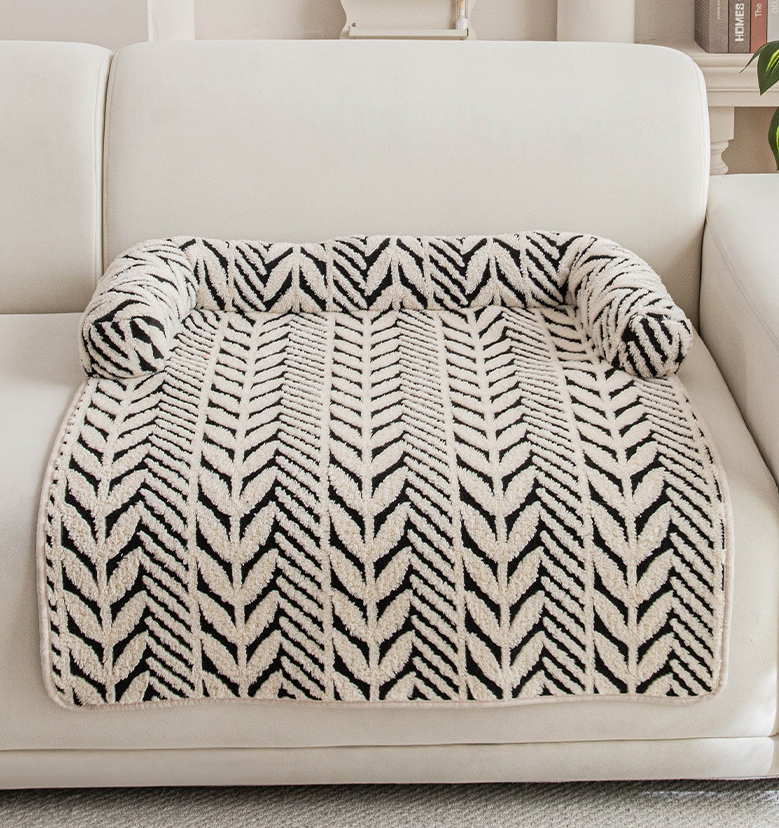 ๐พ PawLabs โ ืืฉืื ืคืจืืืืื ืืืื ืืืืชืื