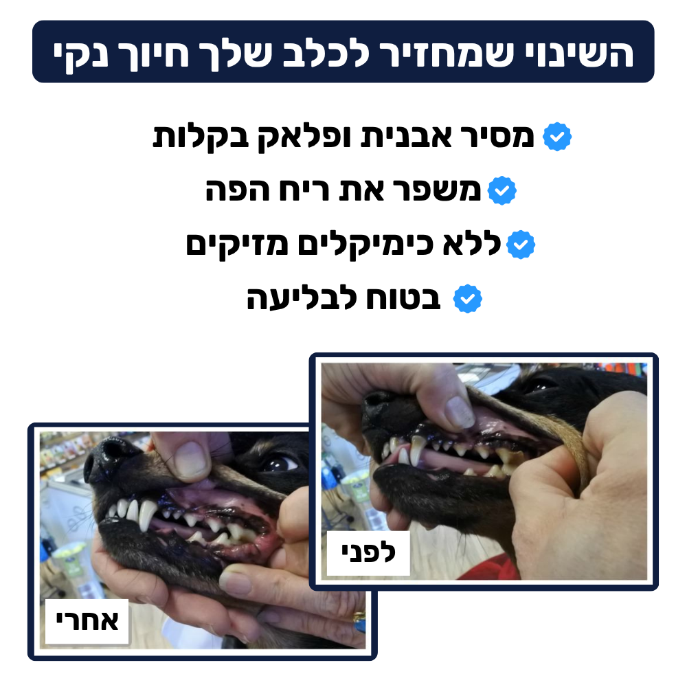 משחת שיניים דנטלית לכלבים