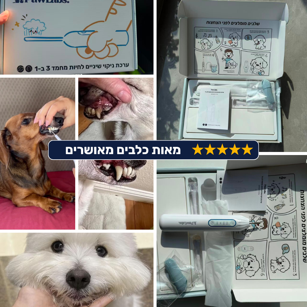 מברשת שיניים חשמלית לכלבים 3 ב-1 - PawLabs™ DentalPro Set