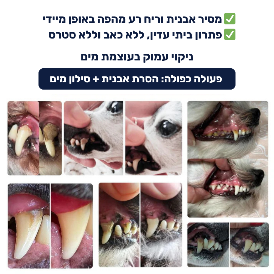 מברשת שיניים חשמלית לכלבים 3 ב-1 - PawLabs™ DentalPro Set