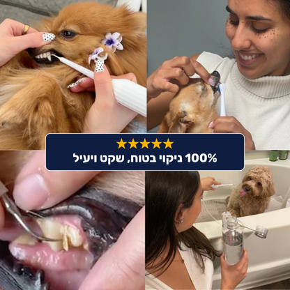 מברשת שיניים חשמלית לכלבים 3 ב-1 - PawLabs™ DentalPro Set