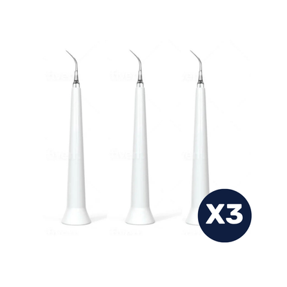 סט 3 ראשי ניקוי דנטלים להורדת פלאק - PawLabs™