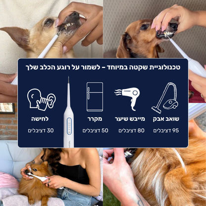 מברשת שיניים חשמלית לכלבים 3 ב-1 - PawLabs™ DentalPro Set
