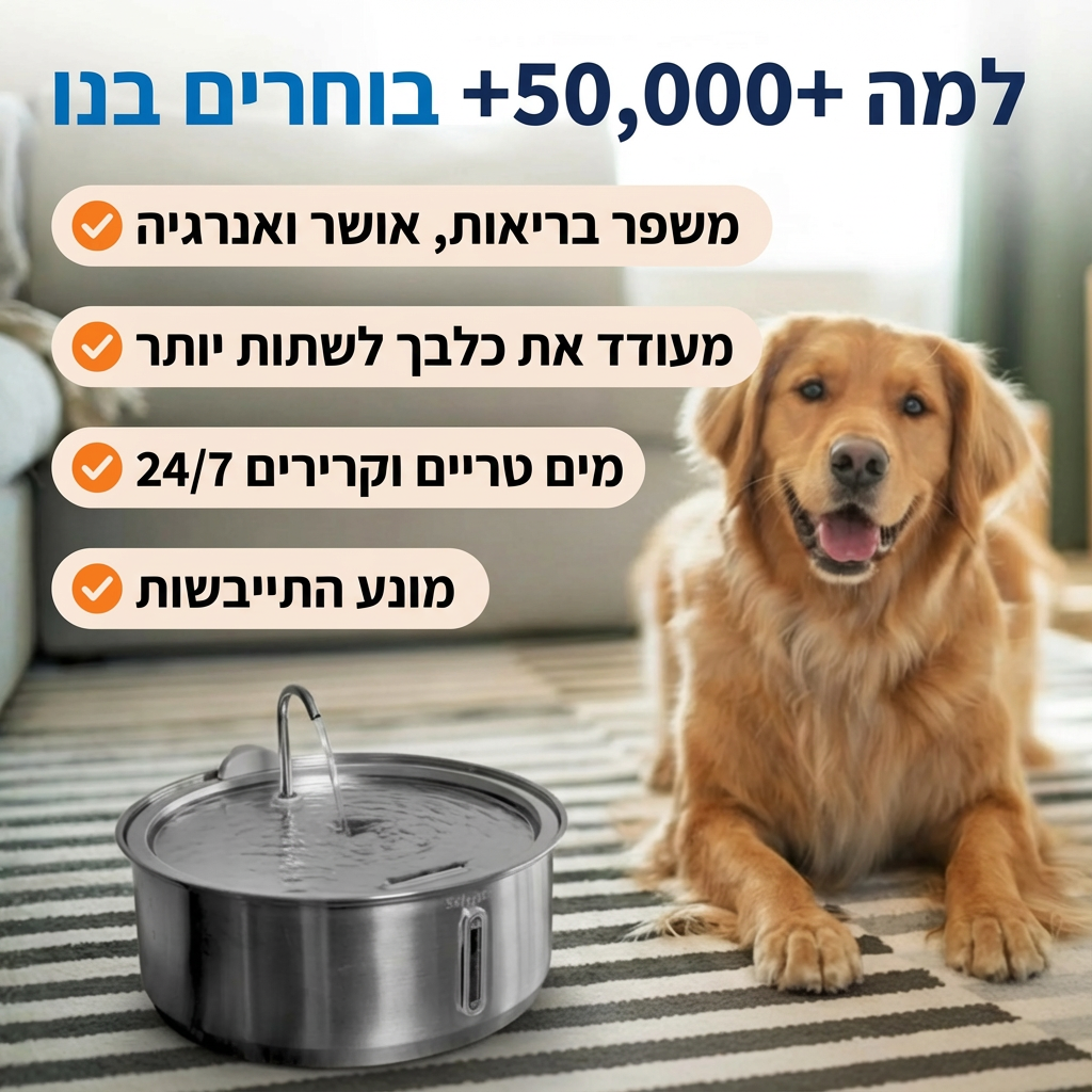 🐾 PawLabs™ – מזרקת מים חכמה מנירוסטה לכלבים