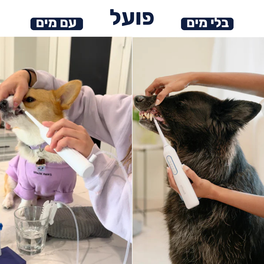 מברשת שיניים חשמלית לכלבים 3 ב-1 - PawLabs™ DentalPro Set
