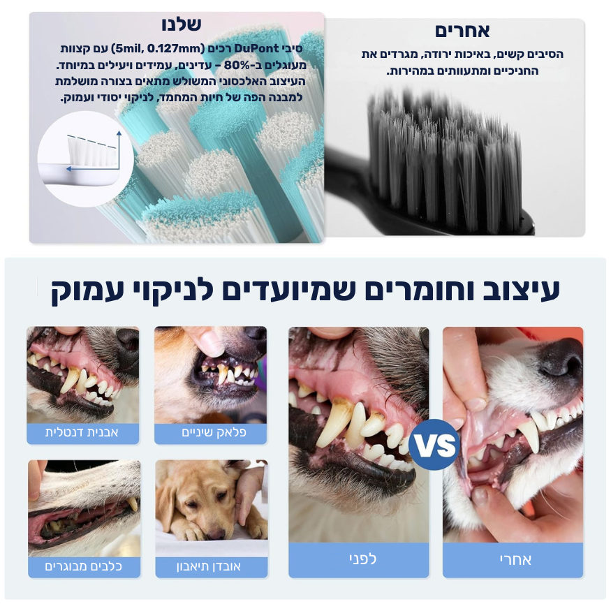 מברשת שיניים חשמלית לכלבים 3 ב-1 - PawLabs™ DentalPro Set