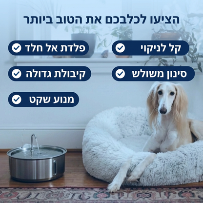 🐾 PawLabs™ – מזרקת מים חכמה מנירוסטה לכלבים