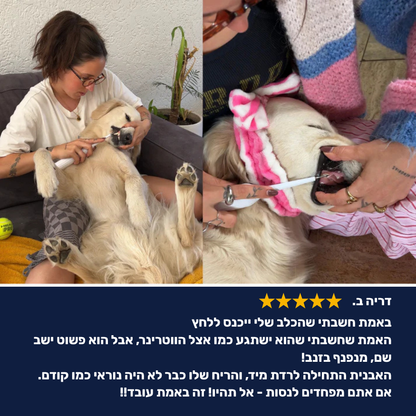 מברשת שיניים חשמלית לכלבים 3 ב-1 - PawLabs™ DentalPro Set