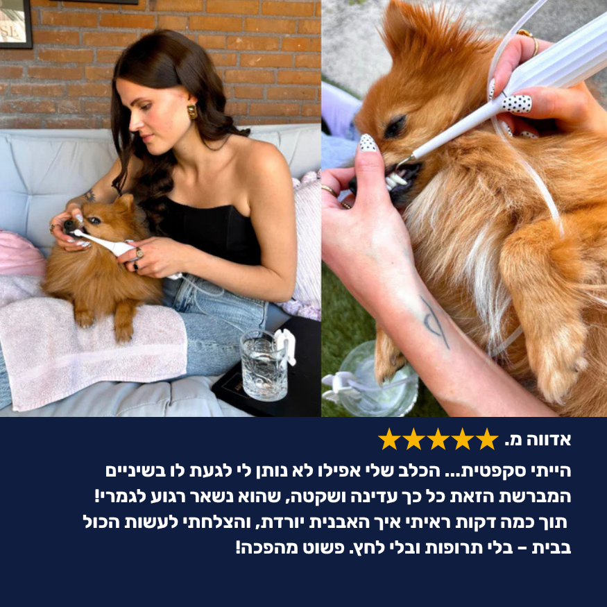 מברשת שיניים חשמלית לכלבים 3 ב-1 - PawLabs™ DentalPro Set