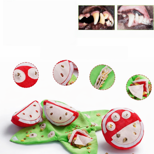 🍉 PawLabs™ צעצוע אבטיח אינטראקטיבי חכם