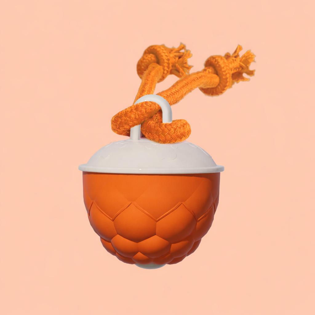 🐾 PawLabs™ Smart Motion Ball