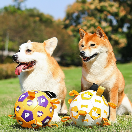 PawLabs™ GripPlay Soccer Ball כדור כדורגל אינטראקטיבי לכלבים עם לשוניות אחיזה – למשחק, משיכה ופעילות אנרגטית