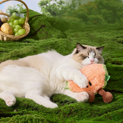 PawLabs™ FruityCrunch Plush Toy צעצוע פרווה אינטראקטיבי מסדרת הפירות – צפצפה ונייר מרשרש לגירוי חושי