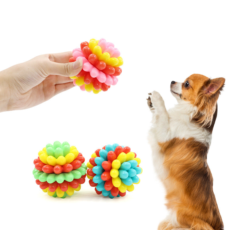 כדור קוצני דנטלי לכלבים עם צפצפה – לעיסה, משחק וניקוי שיניים