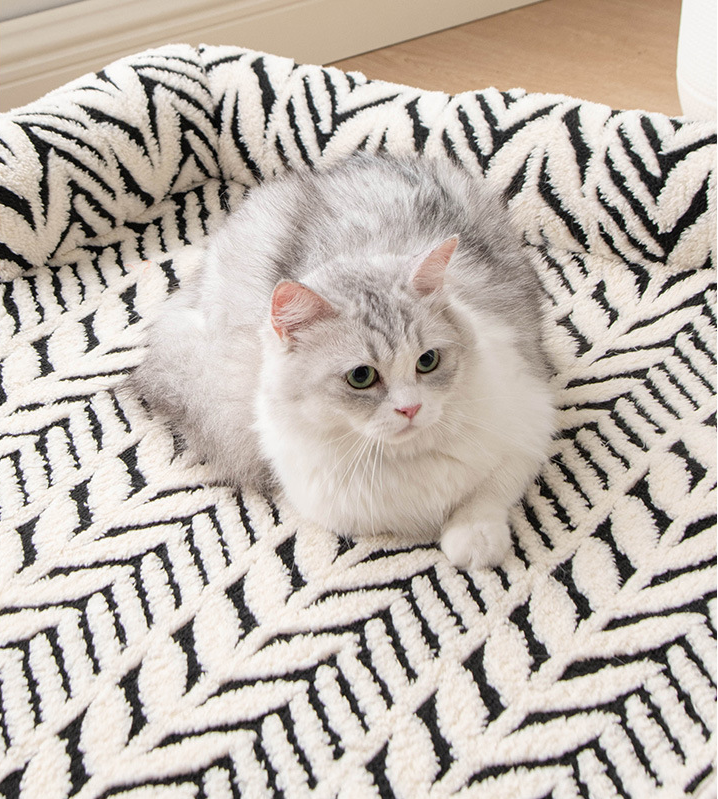 🐾 PawLabs – משטח פרימיום לכלב ולחתול