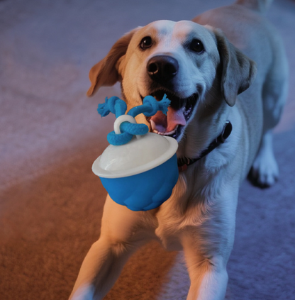 🐾 PawLabs™ Smart Motion Ball
