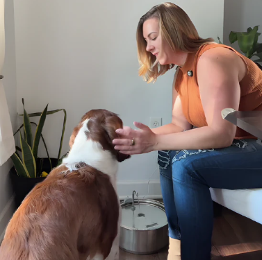 🐾 PawLabs™ – מזרקת מים חכמה מנירוסטה לכלבים