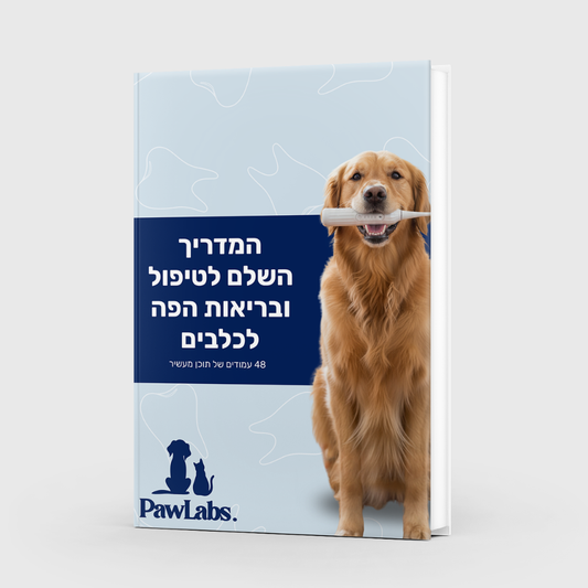 המדריך לטיפול ובריאות הפה לכלבים (מדריך דיגיטלי)