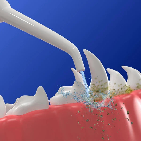 סט 3 ראשי סילון להורדת שאריות מזון - PawLabs™